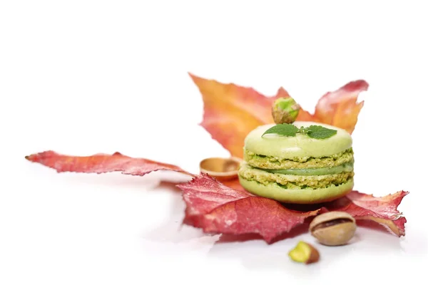 Macaron — Foto Stock