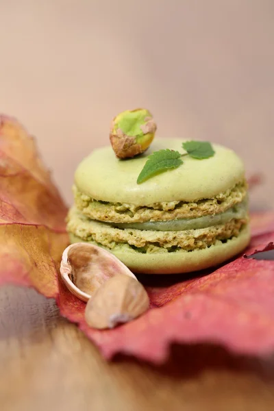 Pisztácia Macarons — Stock Fotó