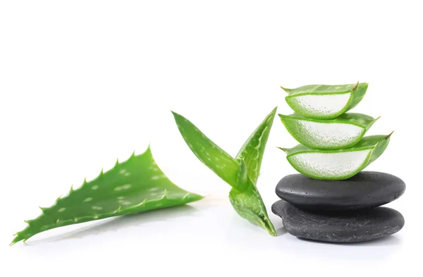 Aloe vera — Stock Photo, Image