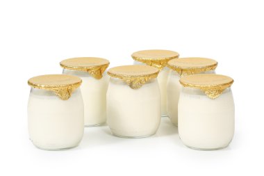 Yoğurt