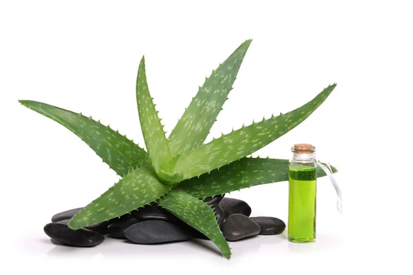 Aloe vera oil — Stock Photo, Image