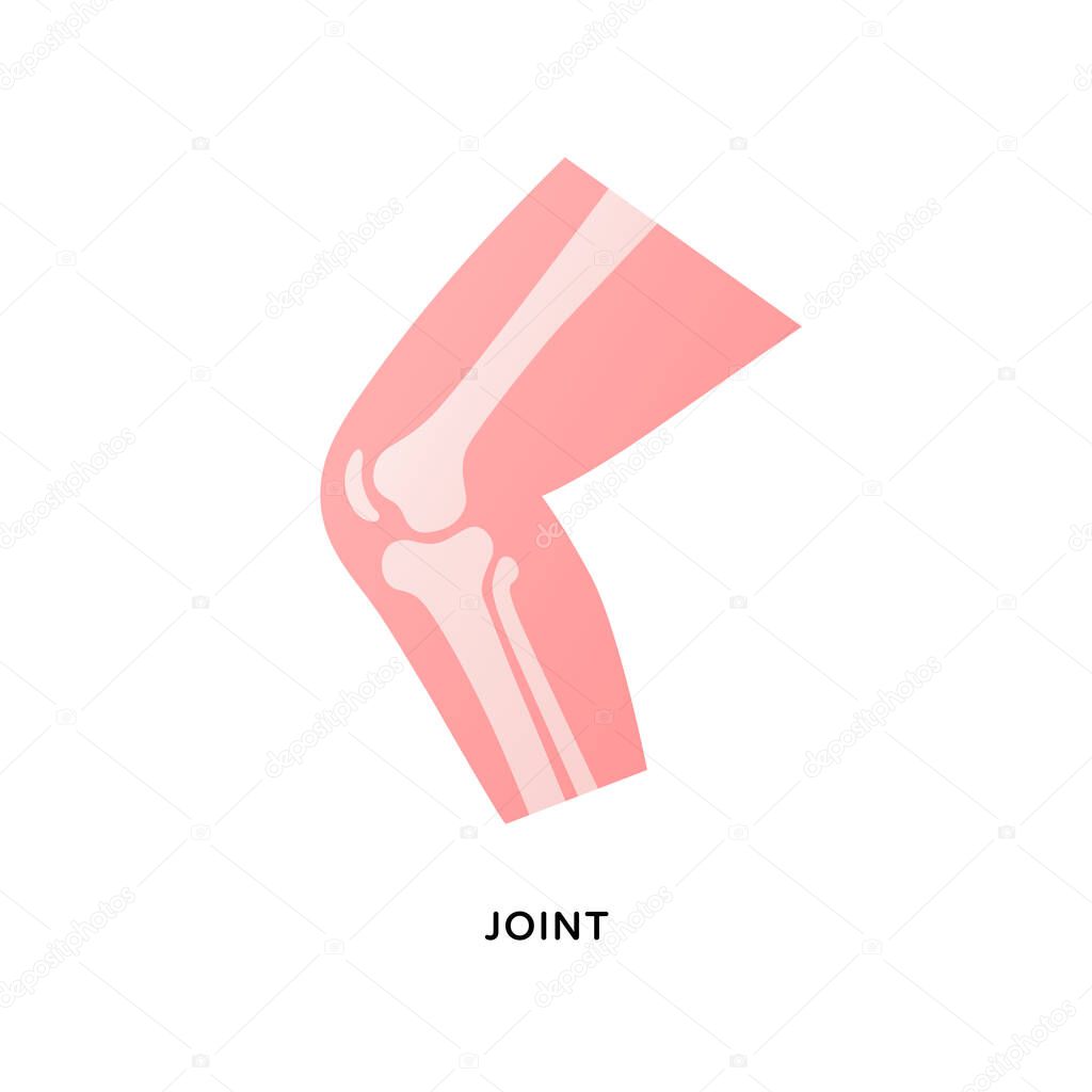 Human organ collection. Vector flat modern anatomical icon illustration. Bent human leg with knee joint bones isolated on white background. Health care medical sign. Design element for orthopaedy.