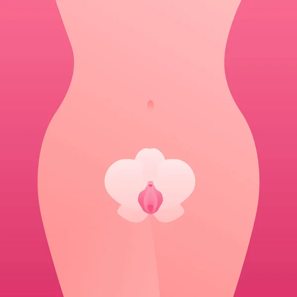 女性生殖系统的象征 矢量平面插图 以花朵象征的形式出现的外阴 女性身体为背景 医疗保健 美容业设计 — 图库矢量图片