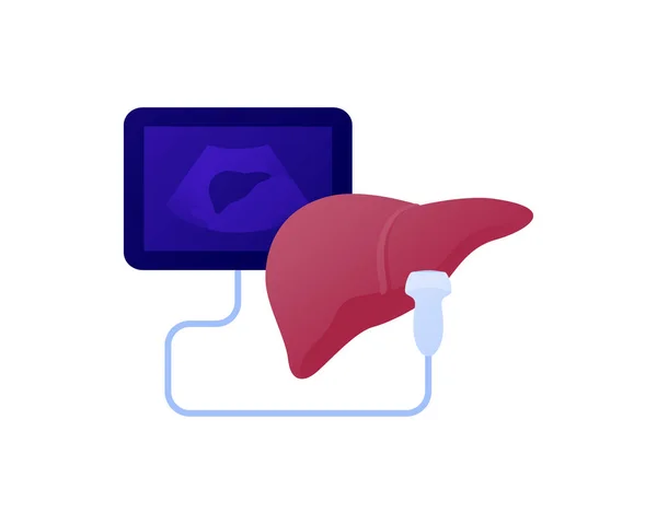 Concepto Procedimiento Ultrasonido Médico Ilustración Sanitaria Plana Vectorial Hepatología Diagnóstico — Archivo Imágenes Vectoriales