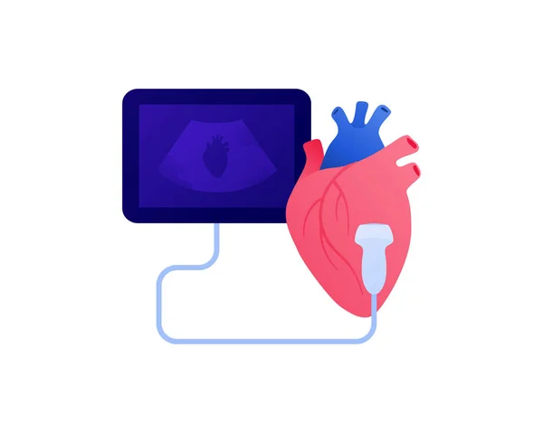 Concepto Procedimiento Ultrasonido Médico Ilustración Sanitaria Plana Vectorial Símbolo Cardiología — Archivo Imágenes Vectoriales