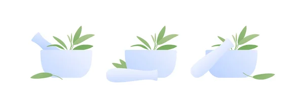 芳香疗法和草药的概念 矢量平面插画集 收集与鼠尾草叶隔离在白色背景的砂浆 设计要素 — 图库矢量图片