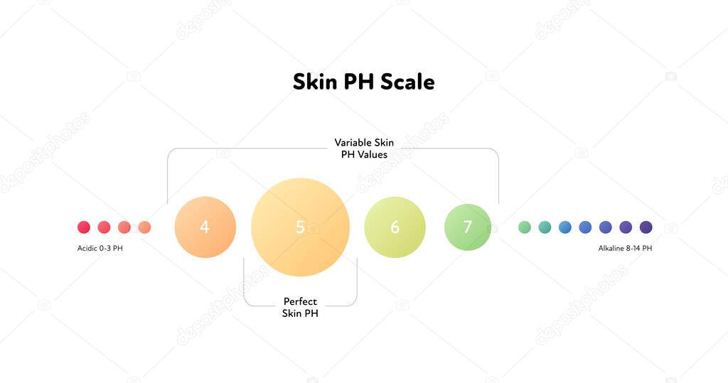 Ph scale infographic. Vector flat healthcare illustration. Acidic to alkaline meter with focus on perfect skin ph. Skin care. Design for pharmacy, health care, cosmetology