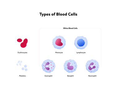 Kan hücresi ve analiz konsepti. Vektör düz sağlık hizmeti çizimi. Beyaz zemin üzerinde izole edilmiş kırmızı ve beyaz hücre renk simgesi koleksiyonu. Sağlık hizmetleri için tasarım.