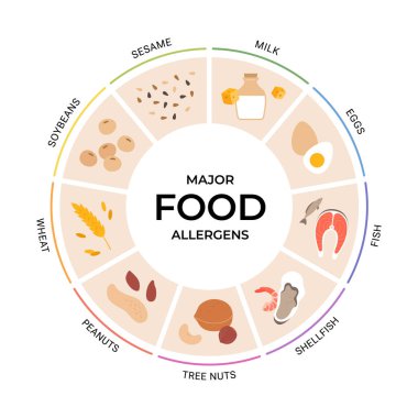 Büyük gıda alerjileri pasta şeması. Büyük 9 bileşeni taşıyın. Susam, kabuklu deniz hayvanı, yer fıstığı ve güvenlik etiketleri için buğday da dahil..
