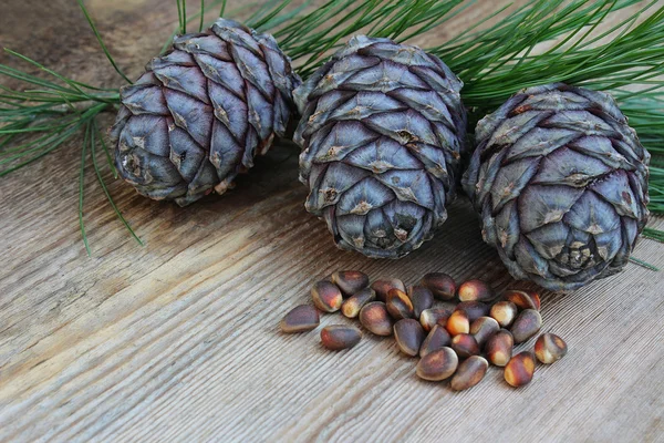 Cones de cedro, ramo de cedro e porca de cedro em um velho backgro de madeira — Fotografia de Stock