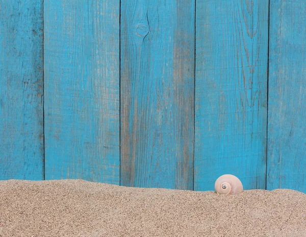 Shell on sand against a blue old wooden background — Stock Photo, Image