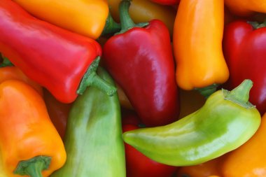 kırmızı, turuncu, sarı, yeşil biber