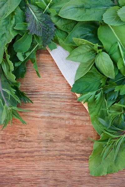 Herbes fraîches sur fond vieux bois — Photo