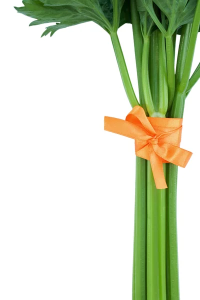 Bunch of petiolar celery with orange tape isolated on white back — Stock Photo, Image