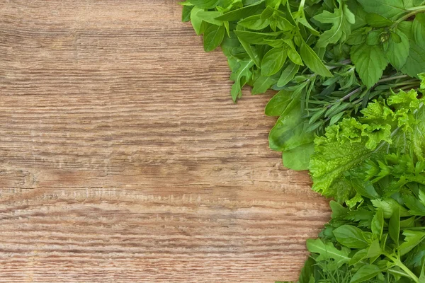 Herbes fraîches sur fond vieux bois — Photo