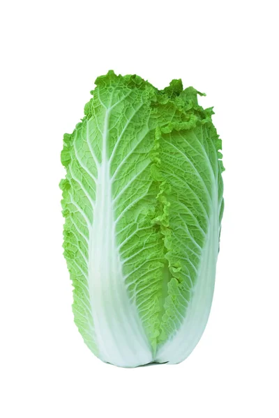 Chinese cabbage  isolated on white background — Stock Photo, Image