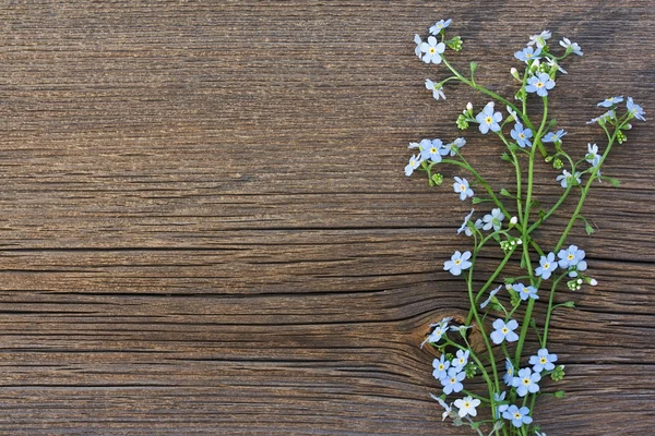 Blauwe wilde bloemen op oude houten achtergrond — Stockfoto
