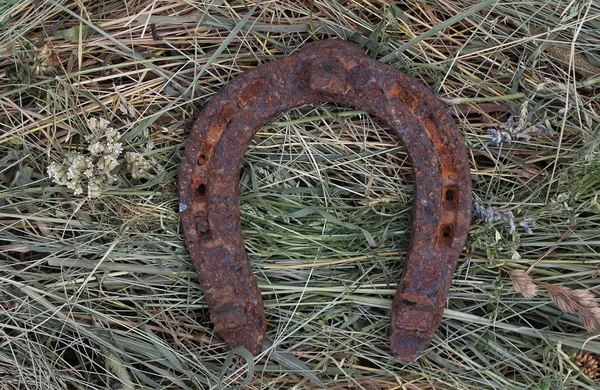 Old horseshoe on hay (a mowed grass) — Stock Photo, Image