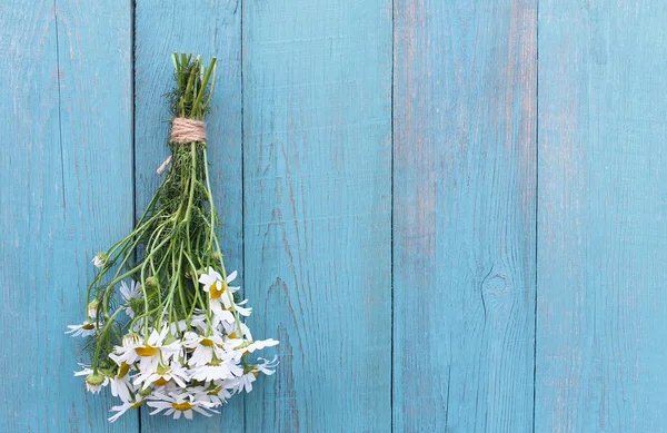 Bouquet of camomile on old blue wooden background — Stock Photo, Image