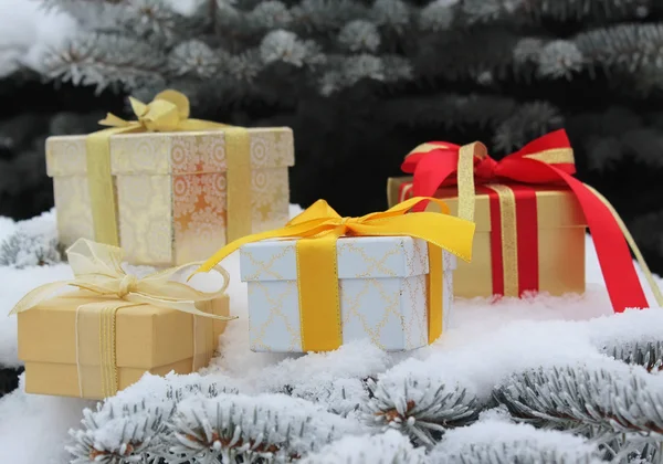 Coffrets cadeaux avec arcs sur branches de sapin dans la neige — Photo