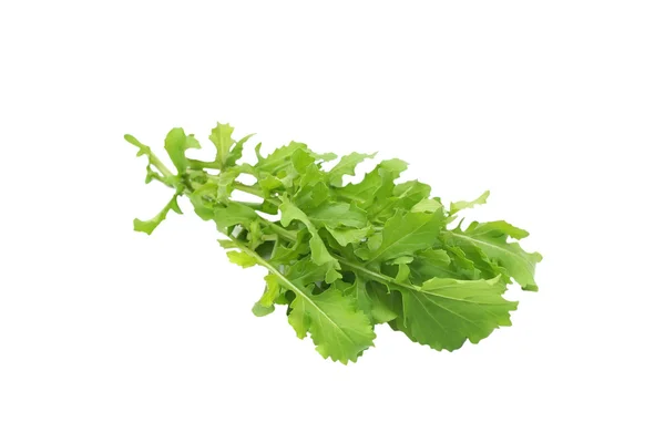 Rucola geïsoleerd op witte achtergrond — Stockfoto