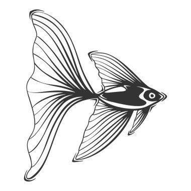 Egzotik balıkların el çizimi vektörü.