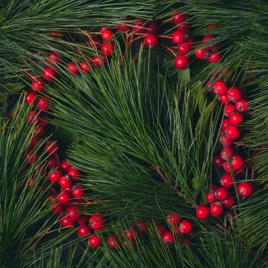 Yeşil yaprakların yakın fotoğrafı, doğa..