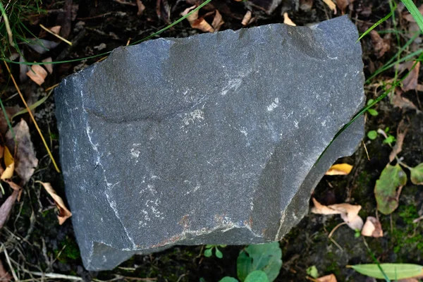 Çimlerin Üzerinde Bir Taş Parçası Yatıyor — Stok fotoğraf