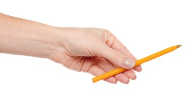 Sarı kalem beyaza izole edildi.