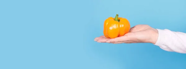 Hand Fresh Ripe Orange Pepper — Stock Photo, Image