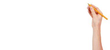 Sarı kalem beyaza izole edildi.