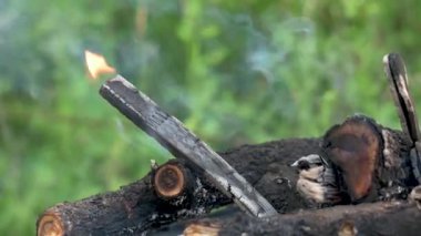 Yanan şenlik ateşi, ormanda yakılacak odun, yangın tehlikesi