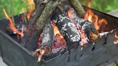 BBG ve alevler pişirmek için ızgarada kamp ateşi.