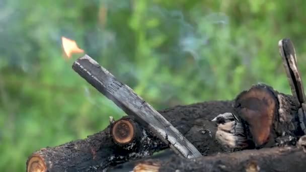 Brennendes Lagerfeuer, rundes Brennholz im Wald, Brandgefahr — Stockvideo