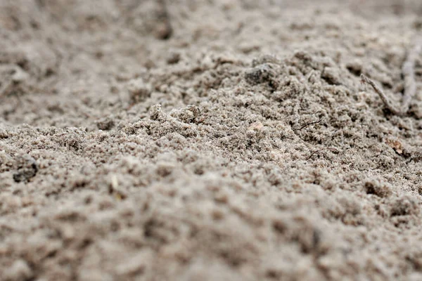 Biji Bijian Dari Foto Pasir Makro Bagian Dari Pantai Laut — Stok Foto