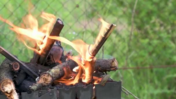 Lagerfeuer im Grill zum Grillen, lodernde Flammen. — Stockvideo