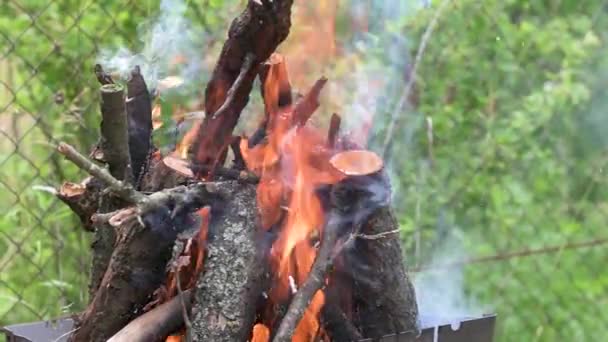 Feu de joie brûlant, bois rond dans la forêt, risque d'incendie — Video