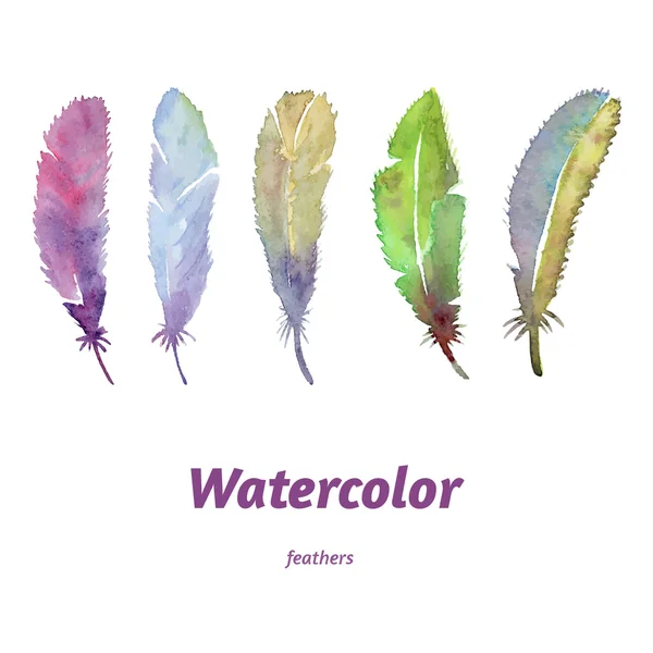 Watercolor feathers, hand drawn, colourful and lovely. — Stock Vector