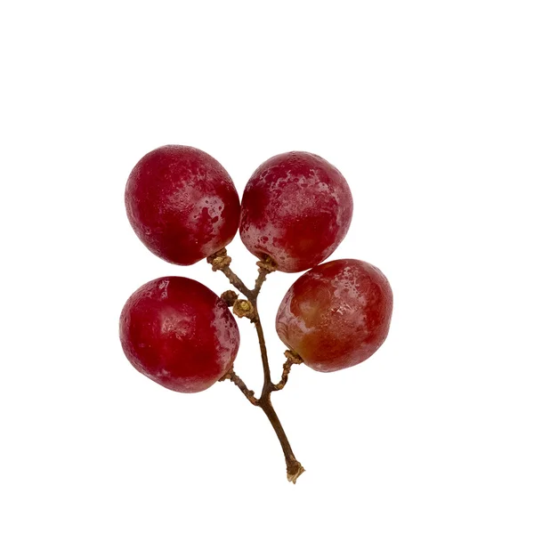 Vier rote Trauben — Stockfoto