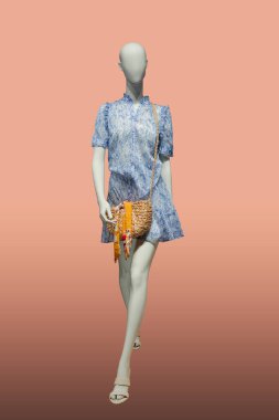 Uzun boylu, modaya uygun giyinmiş, izole edilmiş bir kadın mankeni. Marka isimleri veya telif hakkı nesneleri yok.
