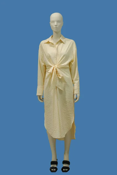 Image Pleine Longueur Mannequin Femme Portant Une Longue Robe Jaune — Photo