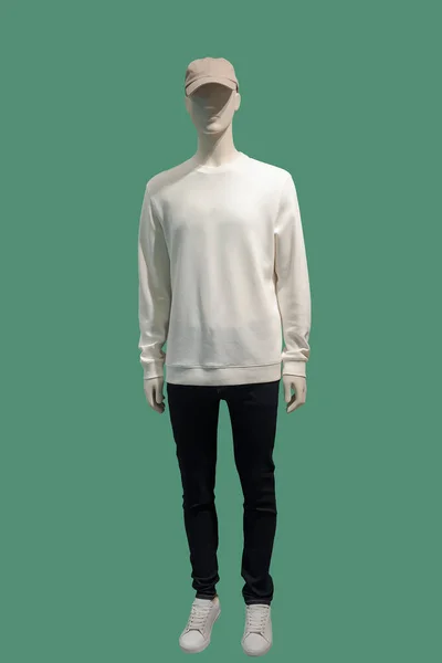 Obraz Mužského Displeje Figuríny Neformálním Oblečení Izolované Zeleném Pozadí — Stock fotografie