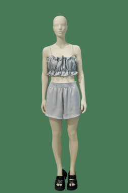 Mavi arka planda izole edilmiş günlük yaz kıyafetleri giyen bir erkek vitrin mankeni.