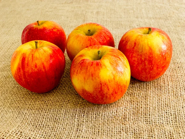 Five apples against a canvas