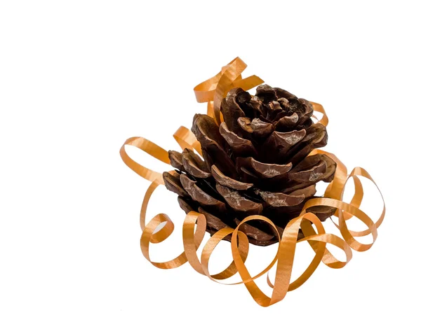 Fir-cone and ribbon isolated — Stock Photo, Image