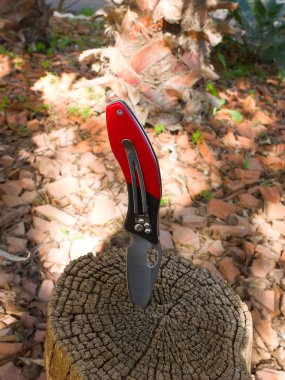 Bir kütük içinde sıkışmış bıçak 