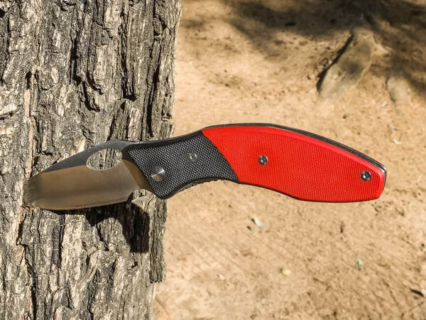 Knife stuck in tree — Stock Photo, Image