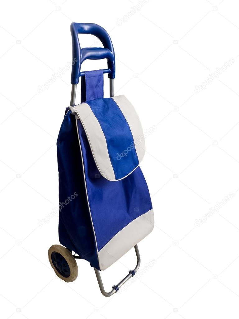 Everbest Foldable Shopping Trolley Bag With Wheels Grocery,Fruits&Vegetables  Cart 38 Ltr Cap. at Rs 1200/piece | Foldable Shopping Trolley in New Delhi  | ID: 26586697173