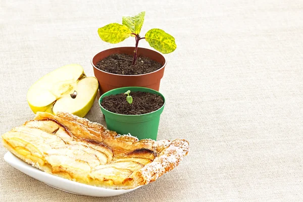 Apple Pip fide meyve pasta için için için