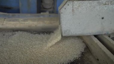 Rice Mill Machine 'in açılışı - Verimli Tahıl İşleme Merkezi